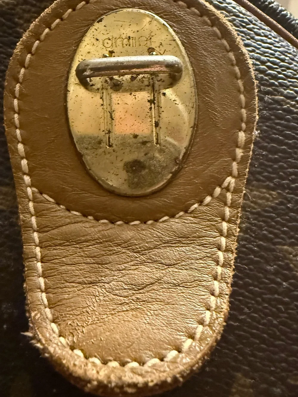 Louis Vuitton iconic louis